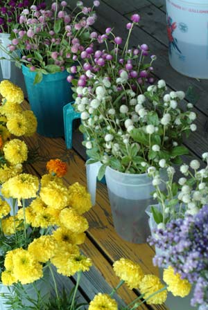 It's easy to find gorgeous, locally grown, earth-friendly blooms at farmer's markets.
